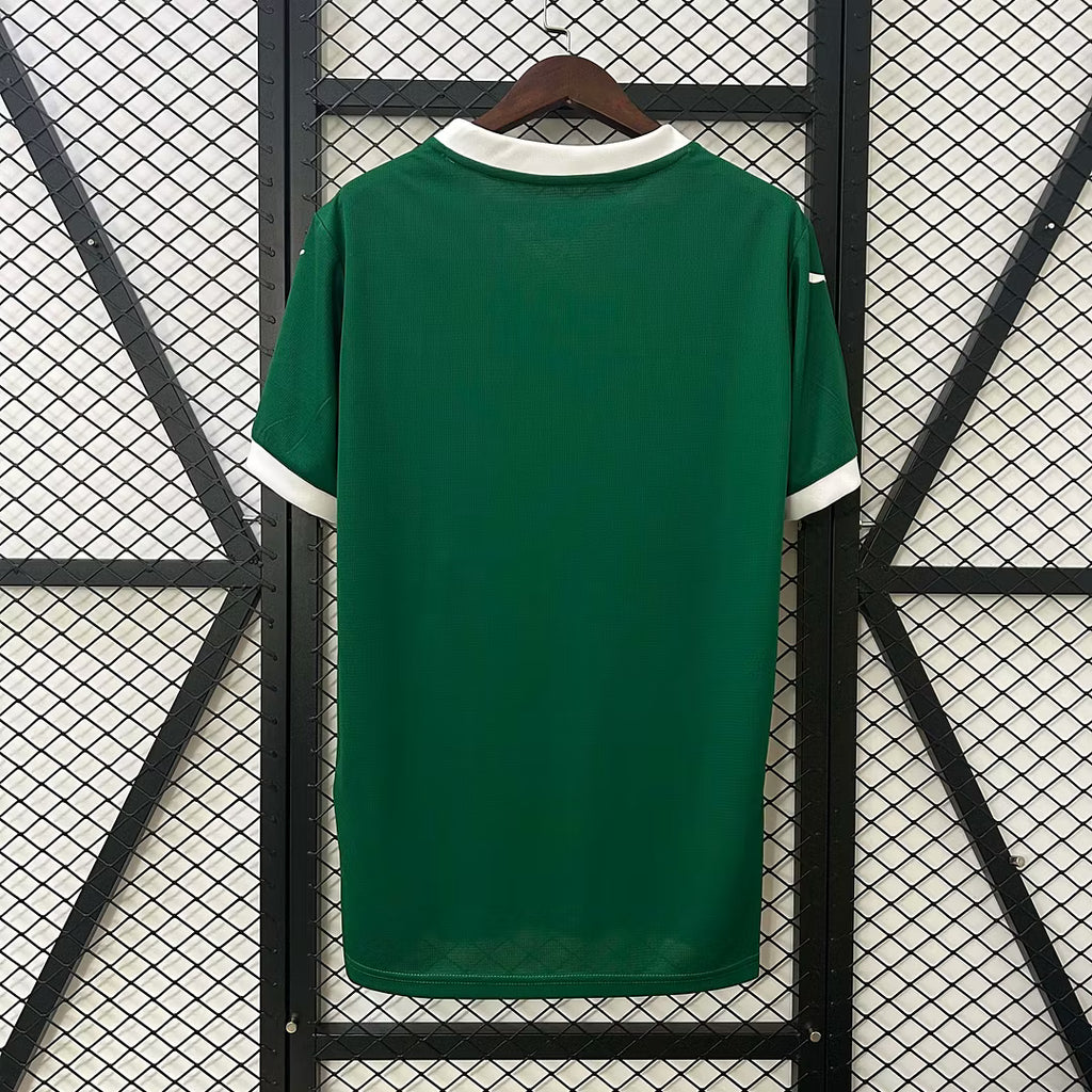 Camiseta Palmeiras Local 25/26 Adulto - Versión Fan